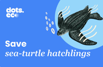 Dots.eco - Save a sea turtle hatchling